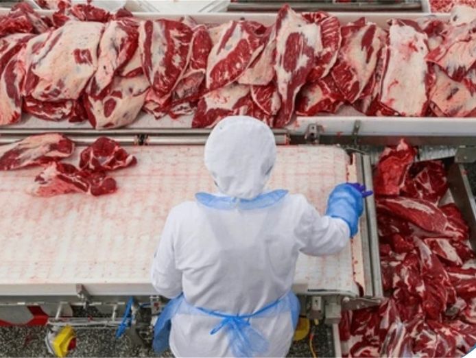 nsw-meat-wholesalers-36-years-established-12-mil-t-0-per-year-high-profits-0