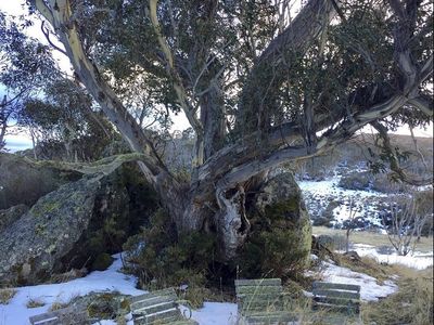 leasehold-for-sale-alpine-resort-with-exceptional-potential-1