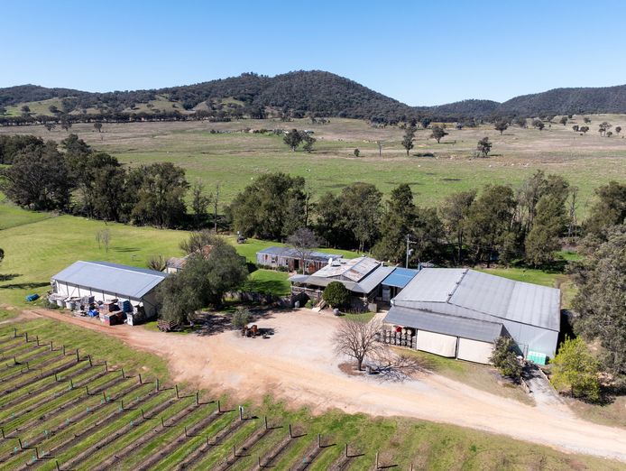 freehold-sale-of-winery-in-mudgee-0