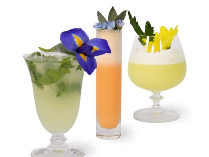 for-sale-producer-of-premium-liqueurs-2