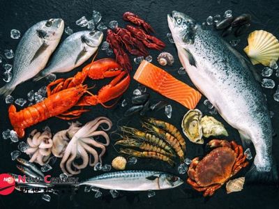 live-lobster-export-amp-seafood-wholesale-campbellfield-1p11285-0