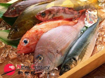 fresh-fish-preston-6462326-0