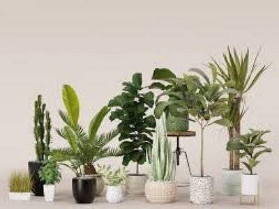 artificial-plants-mitcham-1p10820-0
