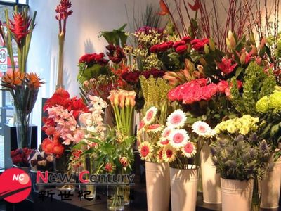 5-days-florist-hughesdale-1p10078-0