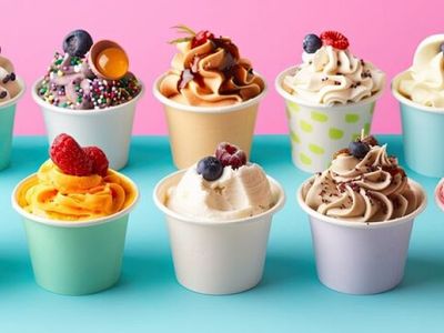 frozen-yogurt-dessert-elsternwick-1p10574-0