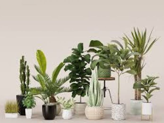 artificial-plants-mitcham-1p10820-0