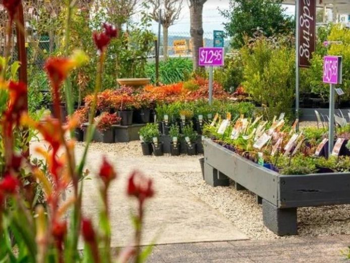 nursery-retail-amp-wholesale-woori-yallock-1p10735-0