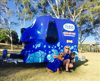 mobile dog wash