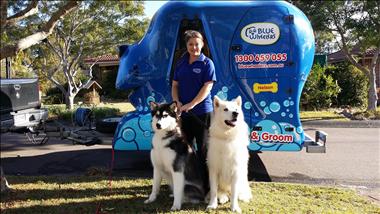 dog wash central coast