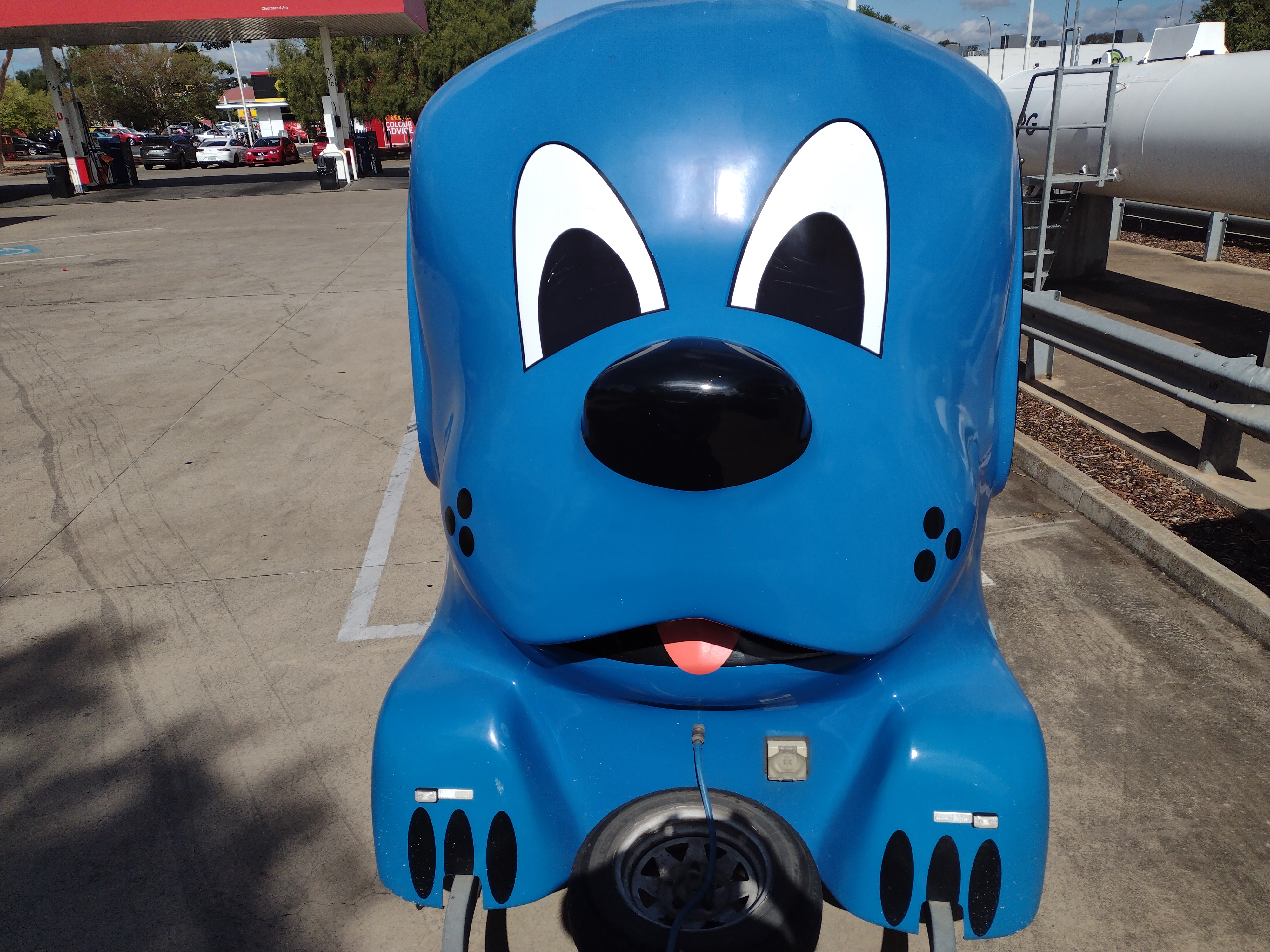 Blue wheelers hot sale dog wash