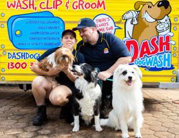Join the booming pet industry, become a Dash DogWash Groomer