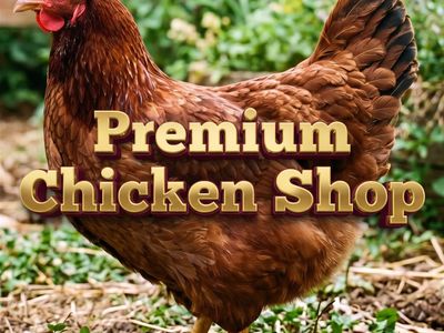premium-chicken-shop-and-takeaway-5893-0