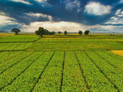 global-leader-in-broadacre-farming-machinery-80-sale-5898-0