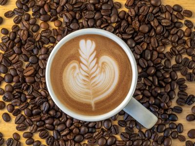 established-cbd-caf-233-for-sale-5883-1