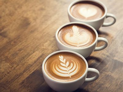 dual-site-caf-233-amp-espresso-bar-brisbanes-north-amp-east-5856-3