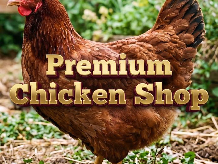 premium-chicken-shop-and-takeaway-5893-0
