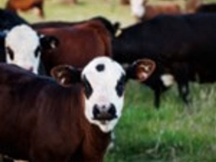 australia-39-s-progressive-amp-innovative-meat-exporters-5875-2