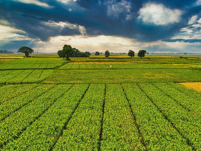 global-leader-in-broadacre-farming-machinery-80-sale-5898-0