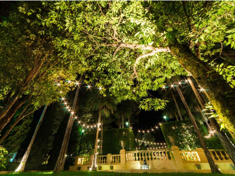 Unique MultiSite Retail and Online Business for Sale 5433RE in