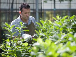 Freehold Production Nursery & Residence - SEQ 