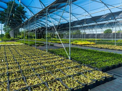 freehold-production-nursery-residence-seq-ebitda-400-000-1