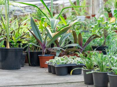 freehold-production-nursery-residence-seq-2