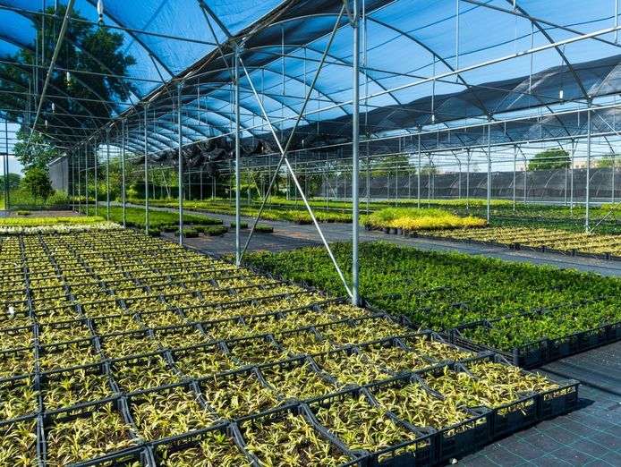 freehold-production-nursery-residence-seq-1