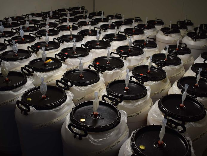 home-brew-business-strong-profits-2