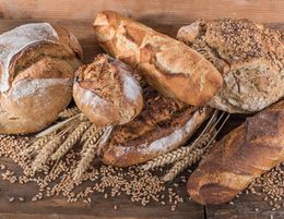 Price Drop! Bakery/ Cafe and Catering Business - Trendy Oxford St Sydney 