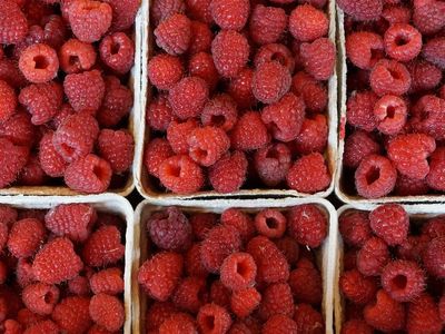 established-premium-artisan-food-brand-regional-nsw-1