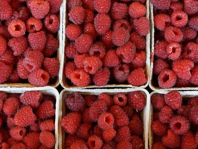 established-premium-artisan-food-brand-regional-nsw-1