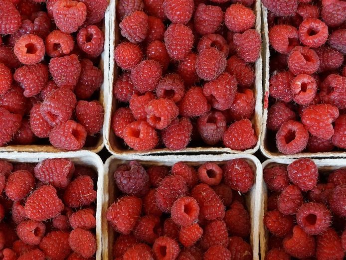 established-premium-artisan-food-brand-regional-nsw-1
