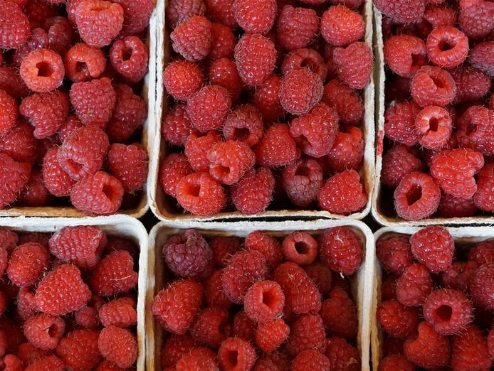 established-premium-artisan-food-brand-regional-nsw-1