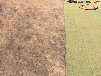 bulletproof-exterior-cleaning-painting-ice-blastng-14-years-track-record-0