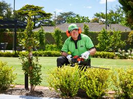 Lawns & Gardens Franchise Opportunity in Brisbane – Start Your V.I.P. Journey!