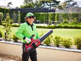 Lawns & Gardens Franchise Opportunity in Adelaide – Start Your V.I.P. Journey!