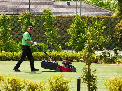 lawn-and-garden-franchise-now-available-in-port-sorell-tas-4