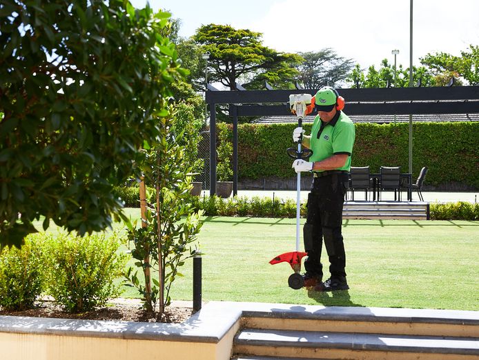 lawn-and-garden-franchise-now-available-in-the-gold-coast-urgent-must-sell-2