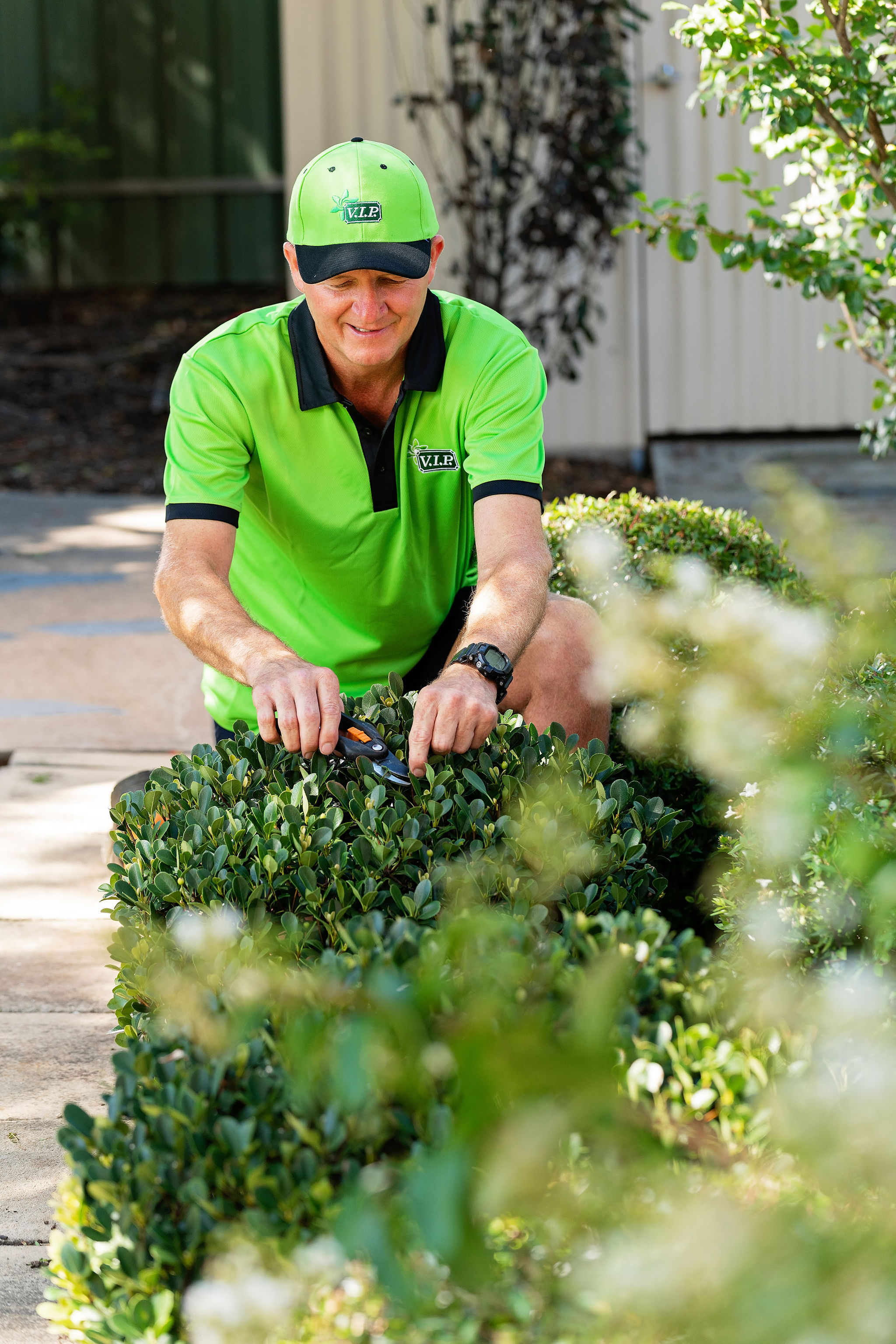 Lawn and Garden Franchise Now Available in NSW in Sydney Greater NSW