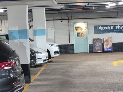 pet-shop-for-sale-priced-to-sell-9