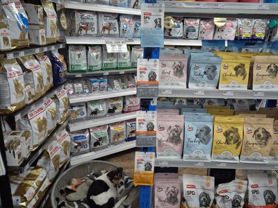 pet-shop-for-sale-priced-to-sell-6