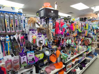 pet-shop-for-sale-priced-to-sell-7