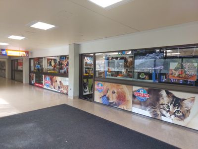 pet-shop-for-sale-priced-to-sell-0