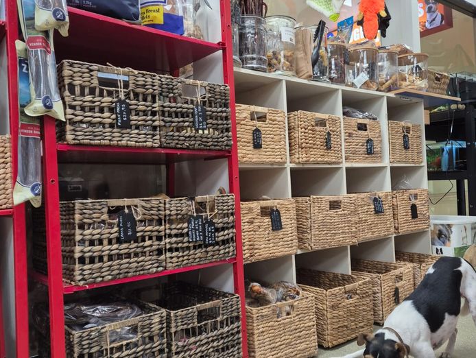 pet-shop-for-sale-priced-to-sell-2