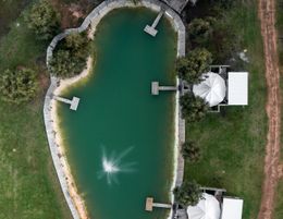 Stargazers - Glamping, camping, cottages and avocados