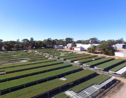 Exceptional Production Tree Seedling Nursery - 21 Hectare Property with 2 Houses