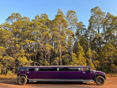 darwin-deluxe-limousines-9