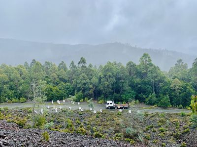 asset-based-small-scale-commercial-beekeeping-opportunity-for-sale-6