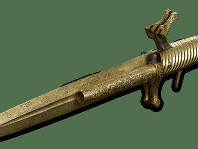 antique-firearm-opportunity-5