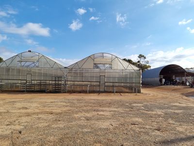 exceptional-production-tree-seedling-nursery-21-hectare-property-with-2-houses-9